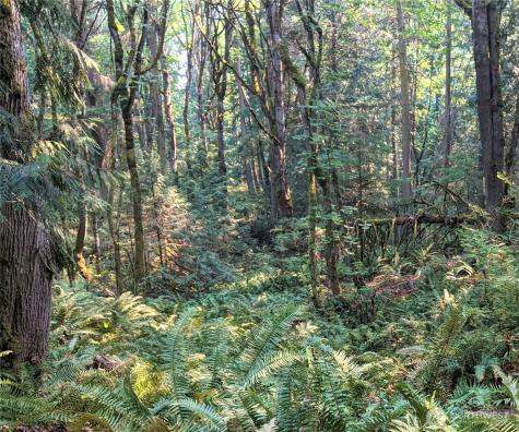 2998 Oak Bay Road Port Hadlock WA 98339