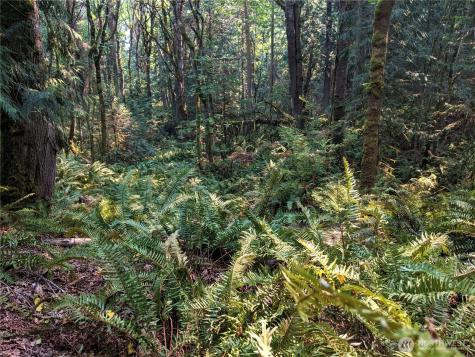 2998 Oak Bay Road Port Hadlock WA 98339