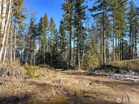 2998 Oak Bay Road Port Hadlock WA 98339