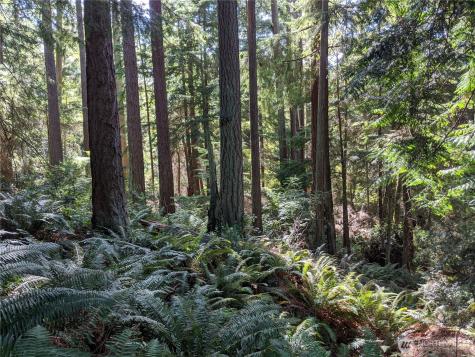 2998 Oak Bay Road Port Hadlock WA 98339