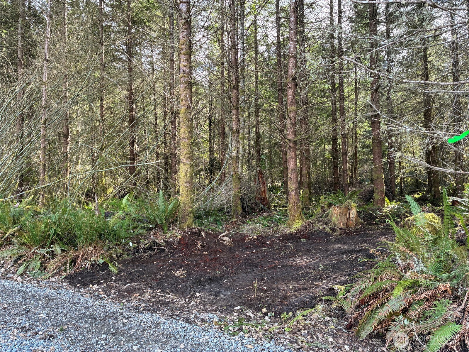 28840 Freelane Road Carbonado WA 98323