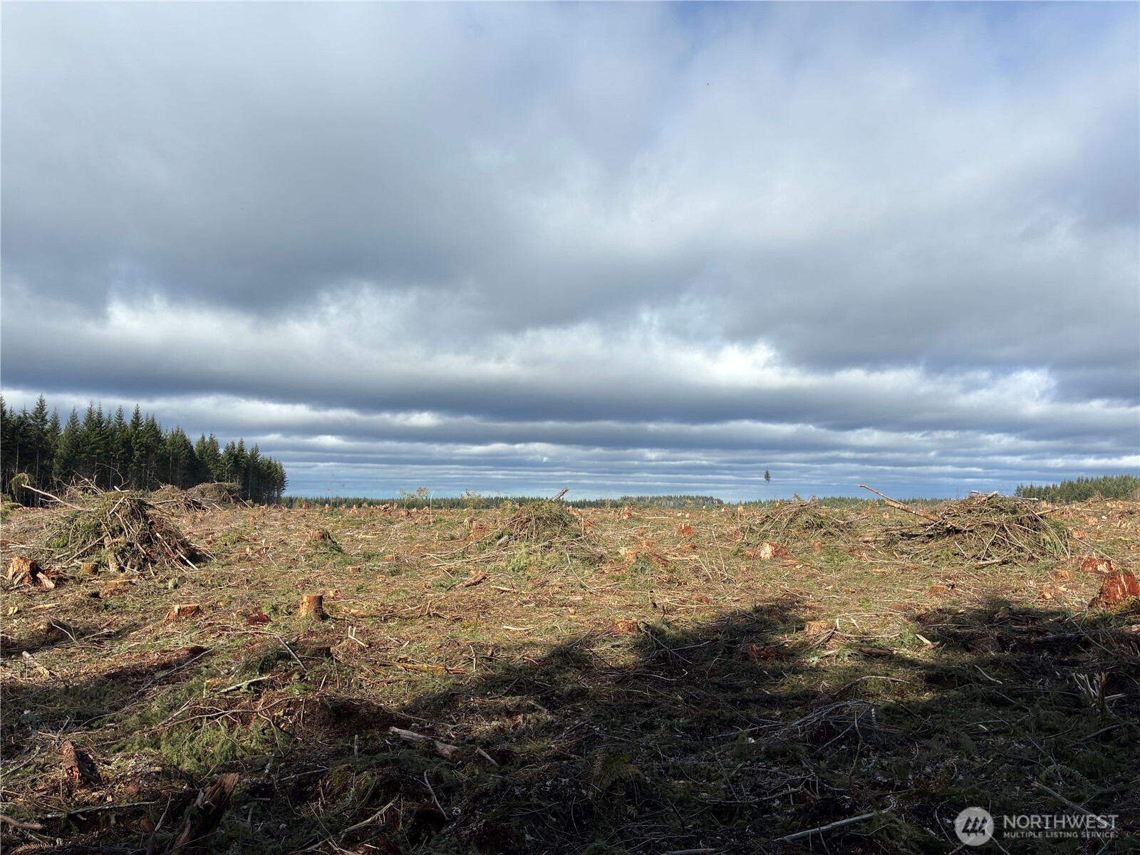 28840 Freelane Road Carbonado WA 98323