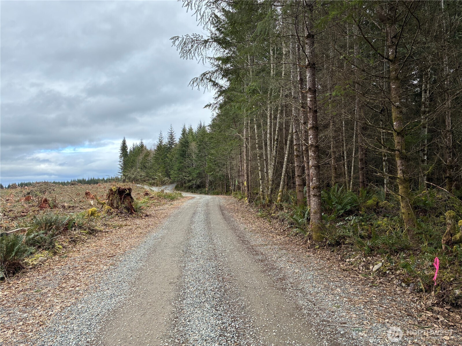28840 Freelane Road Carbonado WA 98323