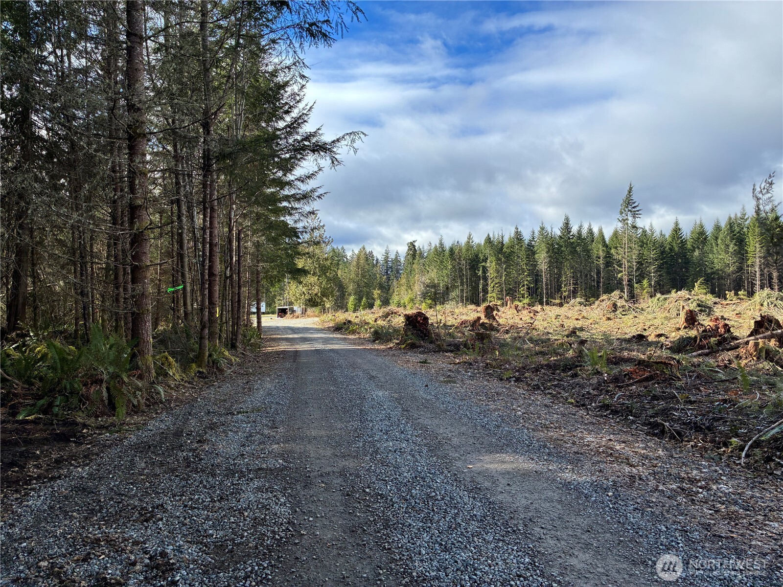 28840 Freelane Road Carbonado WA 98323