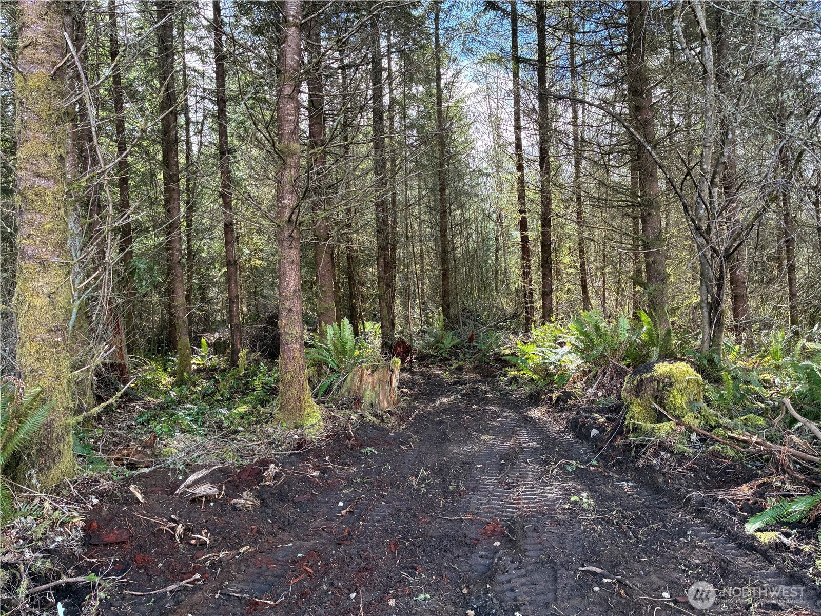 28840 Freelane Road Carbonado WA 98323