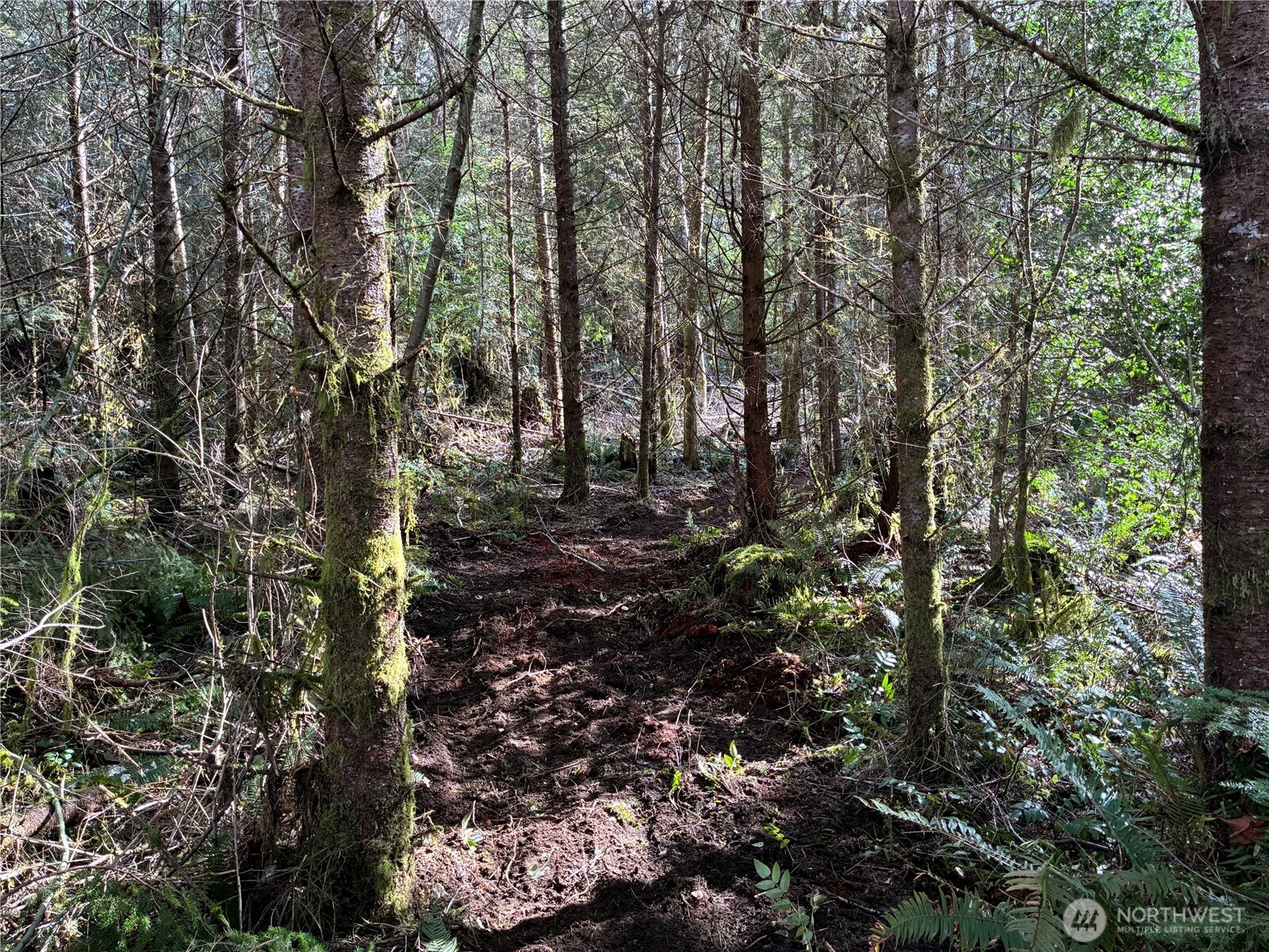28840 Freelane Road Carbonado WA 98323