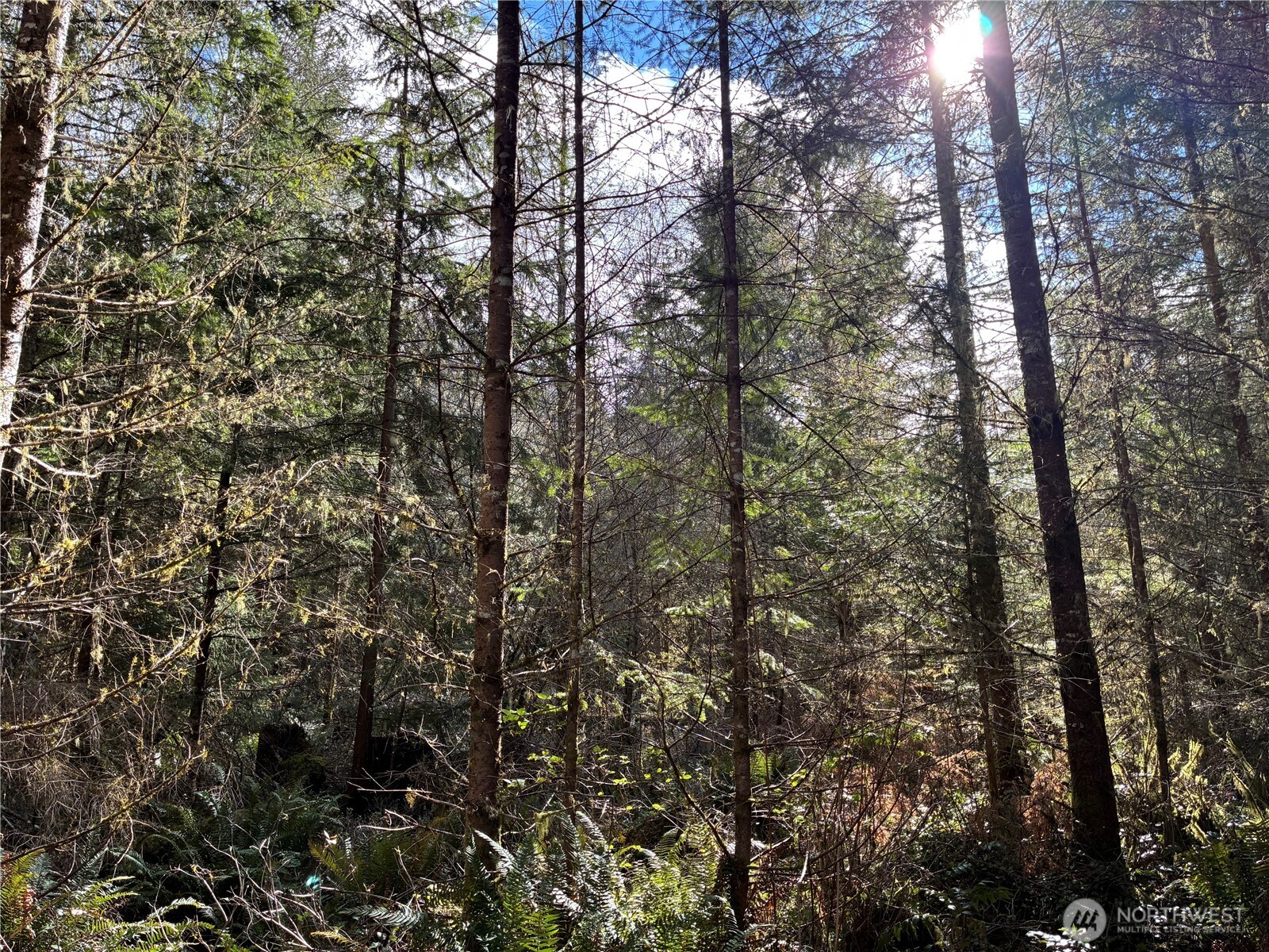 28840 Freelane Road Carbonado WA 98323