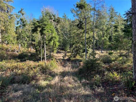 6 Lilypad Place E Port Orchard WA 98366