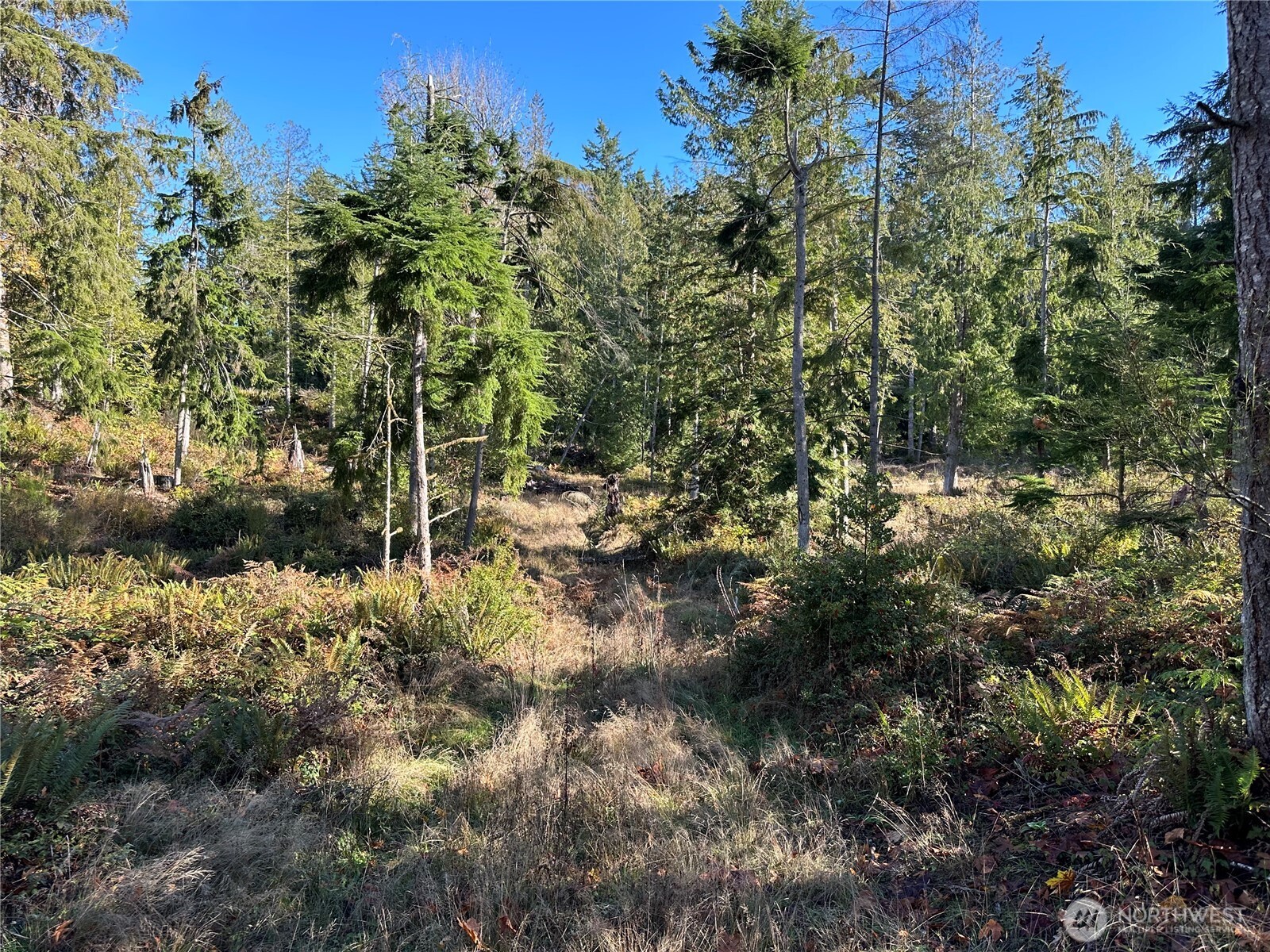 6 Lilypad Place E Port Orchard WA 98366