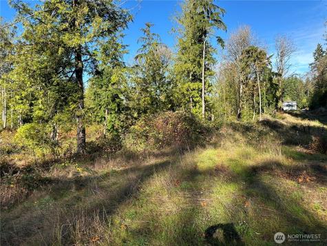 6 Lilypad Place E Port Orchard WA 98366