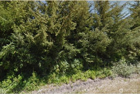 814 Vagabond Avenue SW Ocean Shores WA 98569