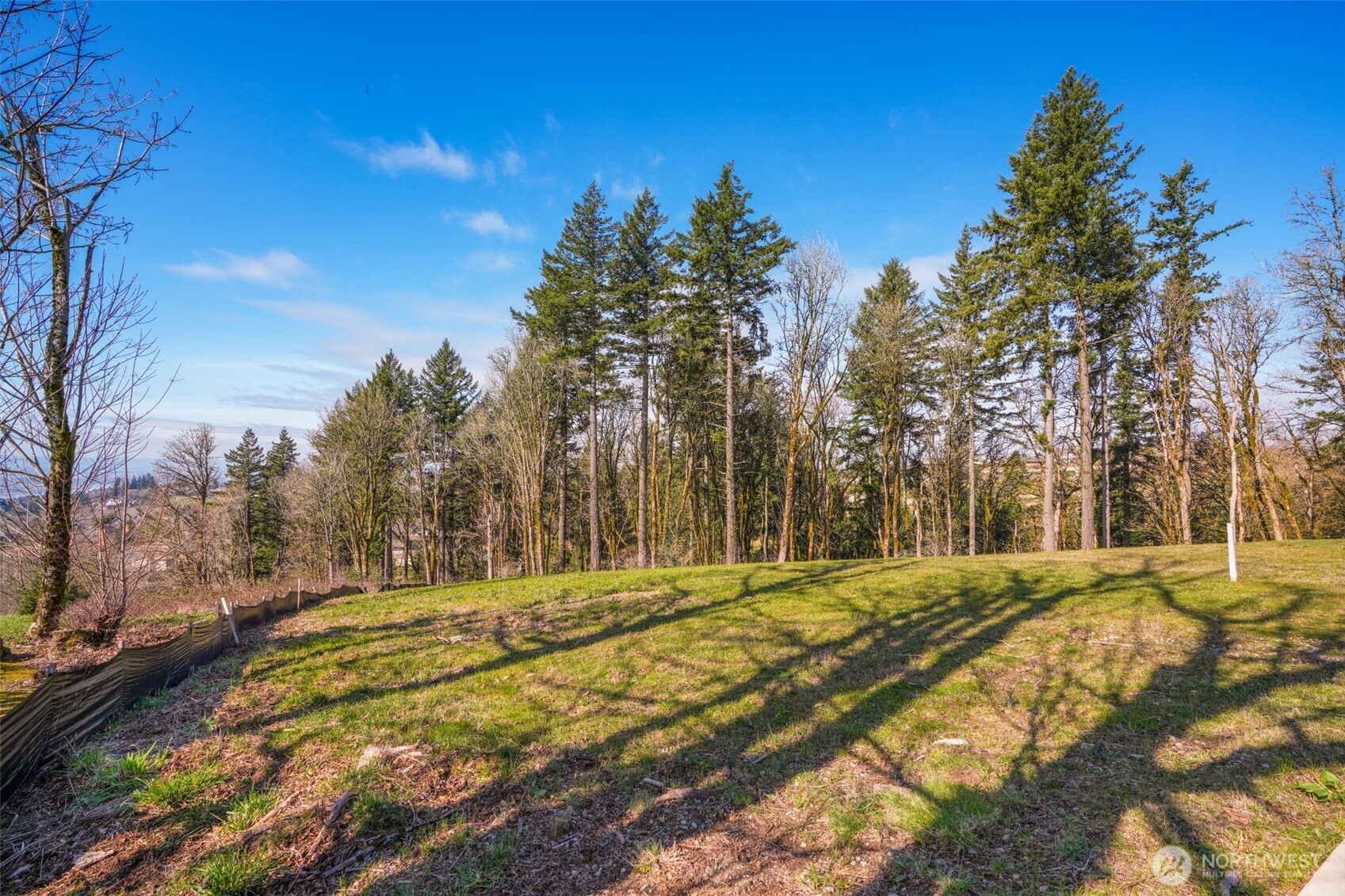 3003 NW 13th Circle Camas WA 98607