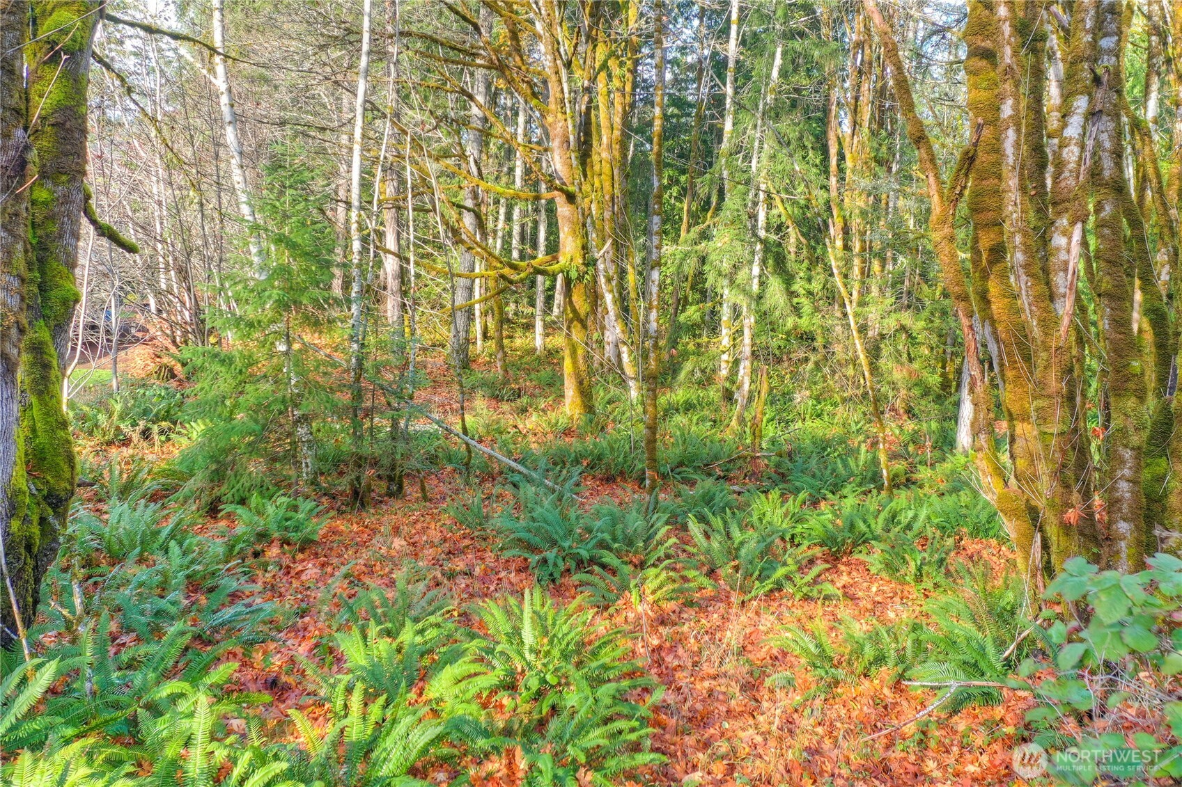 1027 Turkey Road NW Olympia WA 98502