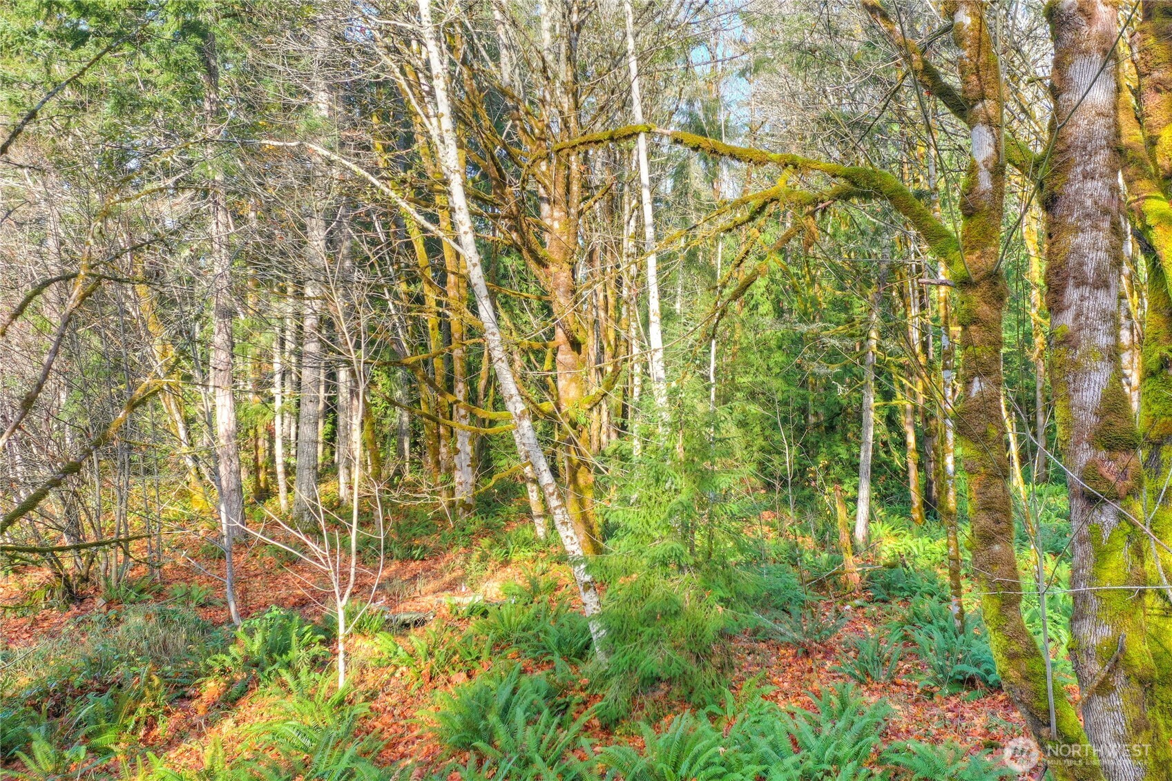 1027 Turkey Road NW Olympia WA 98502