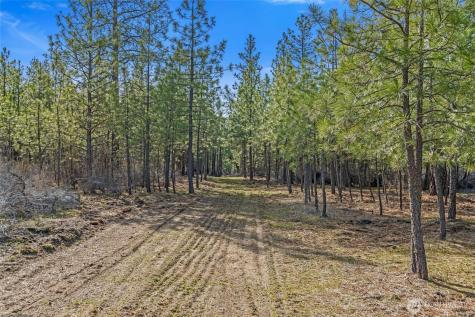 38800 E Sand Flats Davenport WA 99122