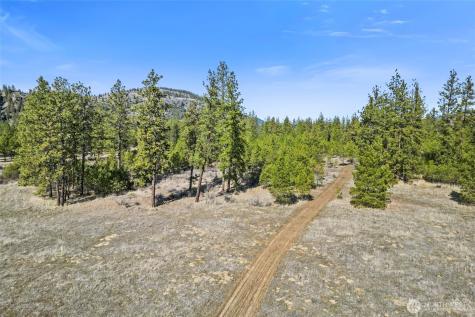 38800 E Sand Flats Davenport WA 99122