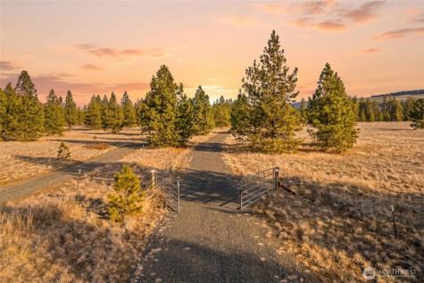 38800 E Sand Flats Davenport WA 99122