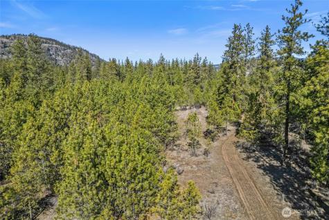 38800 E Sand Flats Davenport WA 99122