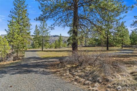 38800 E Sand Flats Davenport WA 99122