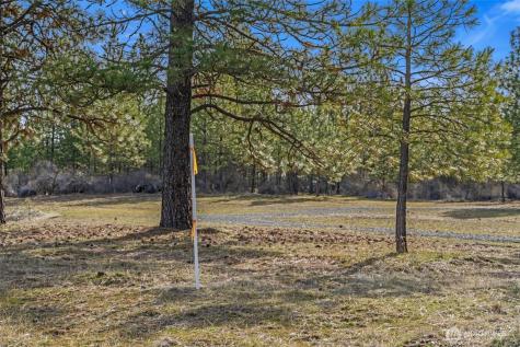 38800 E Sand Flats Davenport WA 99122