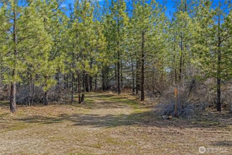 38800 E Sand Flats Davenport WA 99122