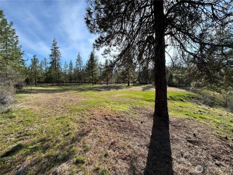38800 E Sand Flats Davenport WA 99122