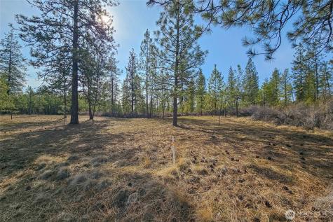38800 E Sand Flats Davenport WA 99122