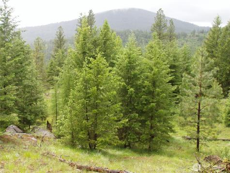 0 Turner Lake Road N Tonasket WA 98855