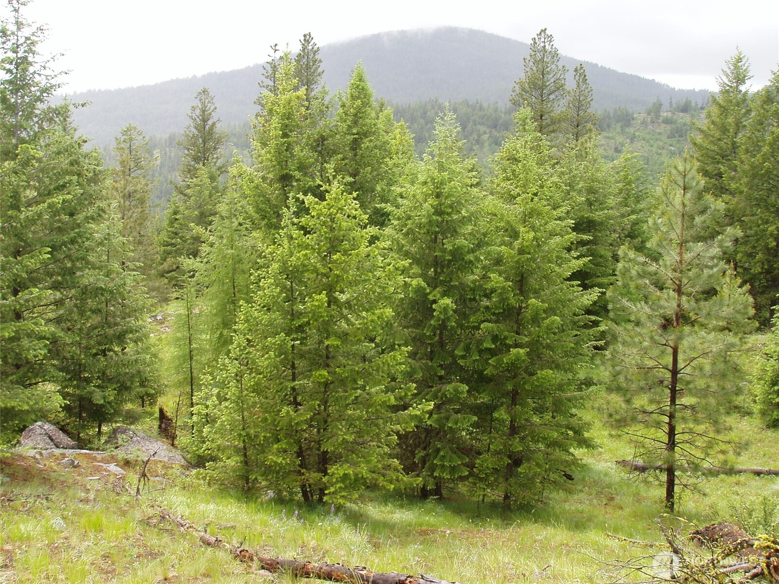 0 Turner Lake Road N Tonasket WA 98855
