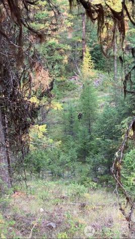 0 Turner Lake Road N Tonasket WA 98855