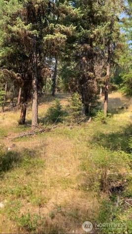 0 Turner Lake Road N Tonasket WA 98855