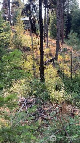 0 Turner Lake Road N Tonasket WA 98855
