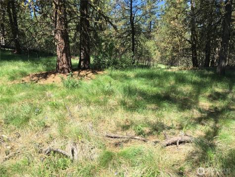 0 Turner Lake Road N Tonasket WA 98855
