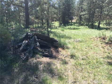 0 Turner Lake Road N Tonasket WA 98855