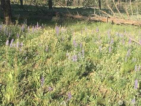 0 Turner Lake Road N Tonasket WA 98855