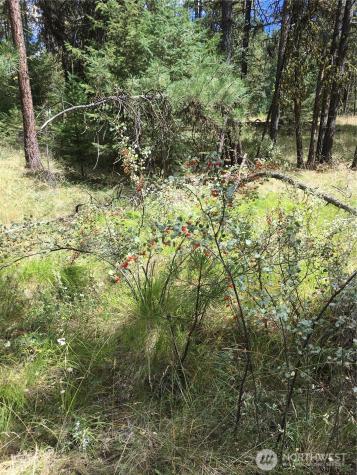 0 Turner Lake Road N Tonasket WA 98855