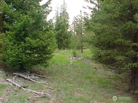 0 Turner Lake Road N Tonasket WA 98855