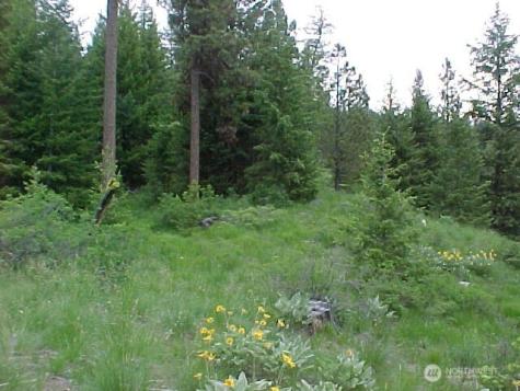 0 Turner Lake Road N Tonasket WA 98855