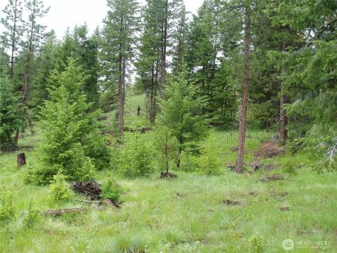 0 Turner Lake Road N Tonasket WA 98855