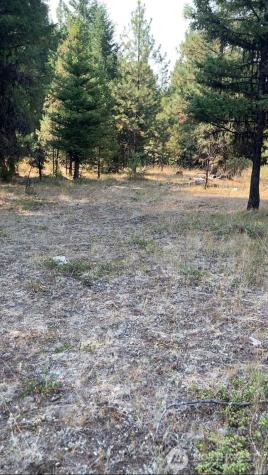 0 Turner Lake Road N Tonasket WA 98855