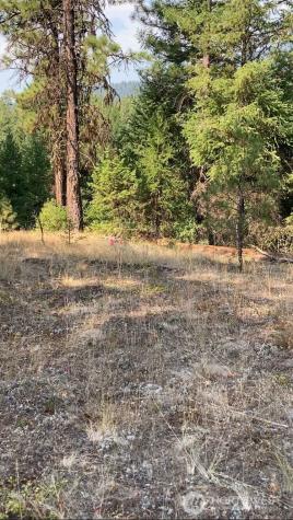0 Turner Lake Road N Tonasket WA 98855