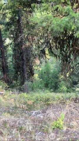 0 Turner Lake Road N Tonasket WA 98855