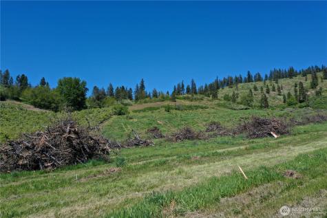 1 Ludwig Hill Road Peshastin WA 98847