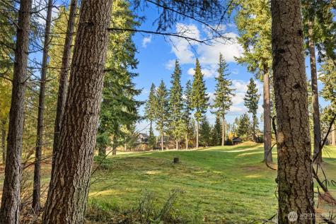 703 Equinox Drive Cle Elum WA 98922