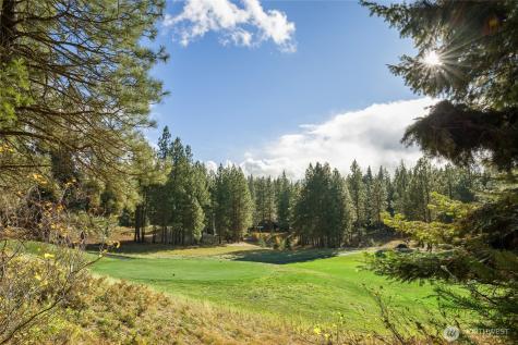 703 Equinox Drive Cle Elum WA 98922