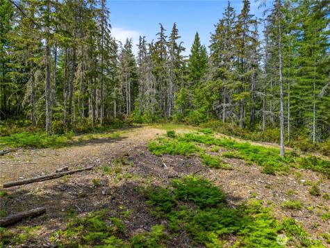 905 NE Tahuya Blacksmith Road Tahuya WA 98588