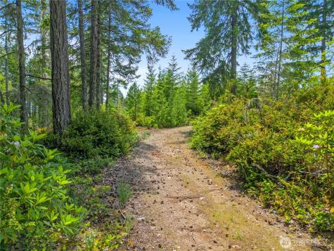 905 NE Tahuya Blacksmith Road Tahuya WA 98588