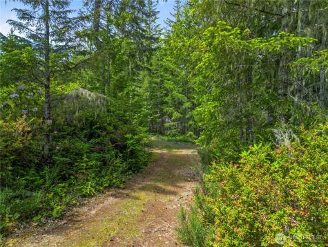 905 NE Tahuya Blacksmith Road Tahuya WA 98588