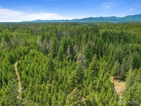 905 NE Tahuya Blacksmith Road Tahuya WA 98588