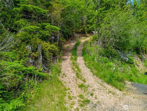 905 NE Tahuya Blacksmith Road Tahuya WA 98588